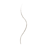 Wet n Wild Ultimate Brow™ Micro Brow Pencil - Deep Brown - Glamorous Beauty