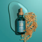 Mielle Sea Moss Anti-Shedding Scalp & Hair Oil
